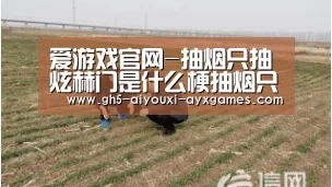 爱游戏官网-抽烟只抽炫赫门是什么梗抽烟只抽煊赫门原唱伴奏歌词完整版(图2) 爱游戏官网